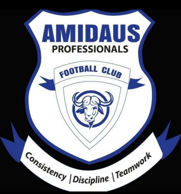 Ghana FA demote Amidaus Professionals  to Division 2