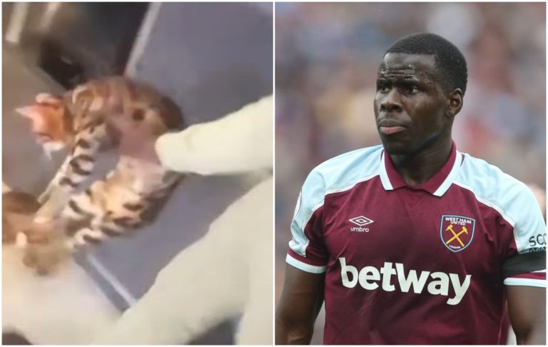 Kurt Zouma given 180 hours of community work, banned from keeping cats